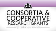 St. Baldrick's 2012 Summer Grants: Consortia and Cooperative Research Grants