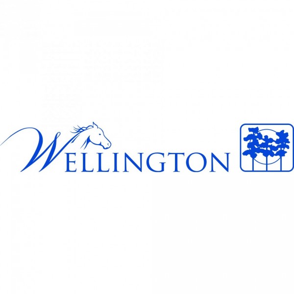 Wellington Kids Care Event Logo