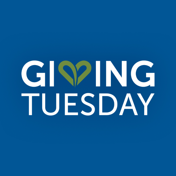 St. Baldrick’s Giving Tuesday Campaign Fundraiser Logo