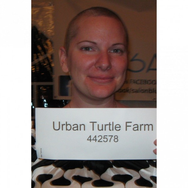 Urban Turtle Farm After