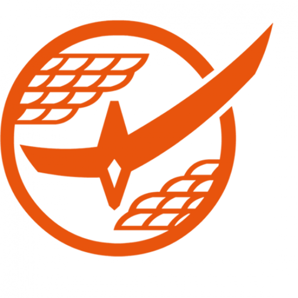 Team Gaim Team Logo