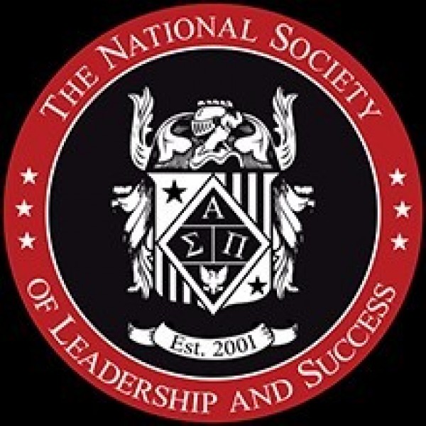 the NSLS Team Logo