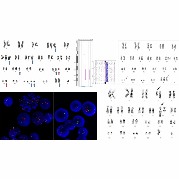 Team Cytogenetics Team Logo