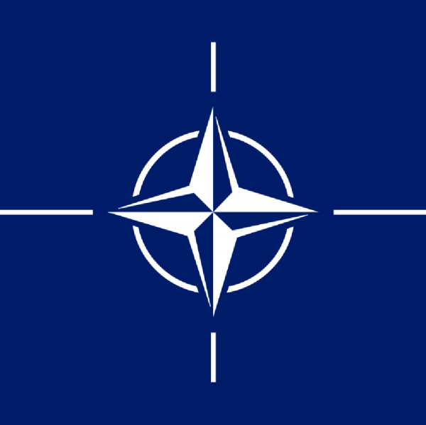 NATO Team Logo