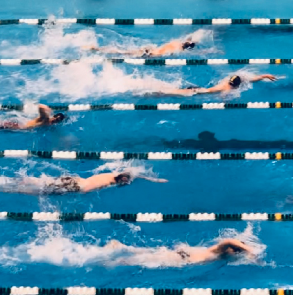 Shaker Heights High School Swim Team Team Logo