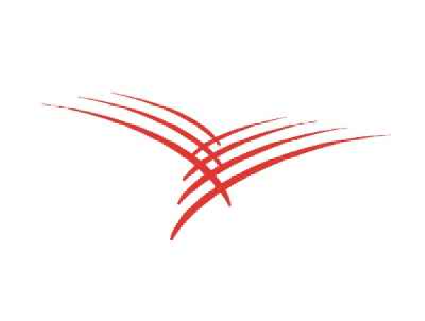 Team Cardinal Team Logo