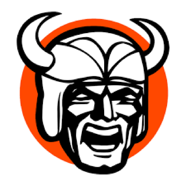 NC Intermediate Bald Vikes 2024 Team Logo
