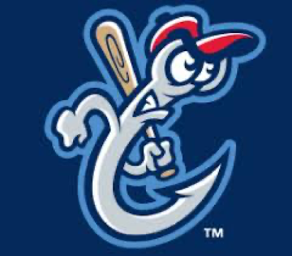 AAA Baseball-Hooks Team Logo