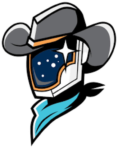 AAA Baseball-Space Cowboys Team Logo