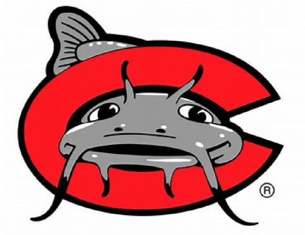 Minors Baseball-Mudcats Team Logo