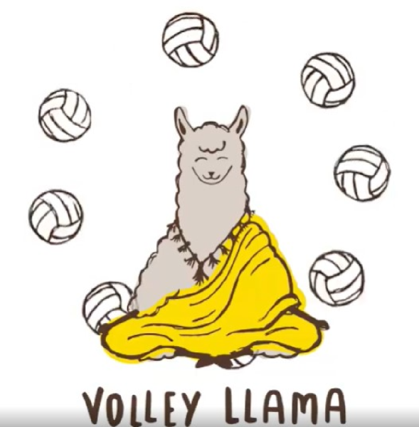 Volley Llamas Team Logo