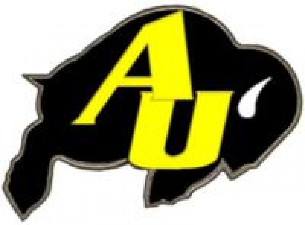 Asian Unity Team Logo