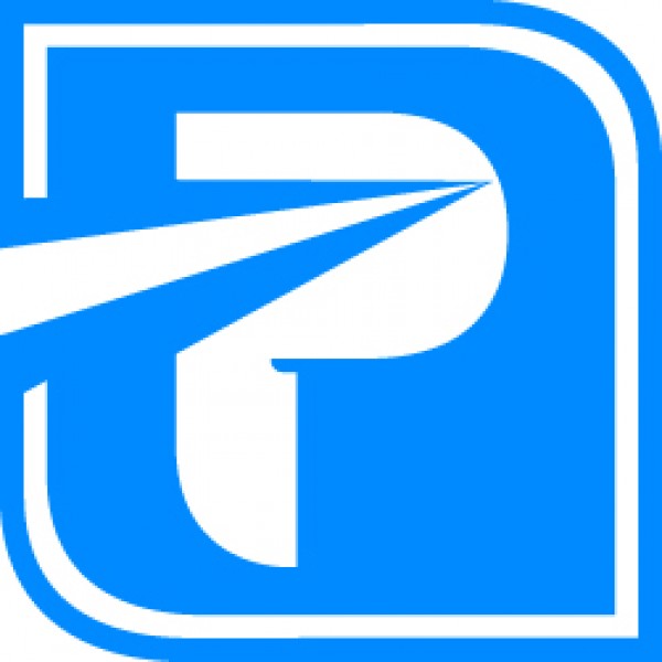 Posillico Team Logo