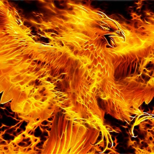 Team Phoenix Team Logo