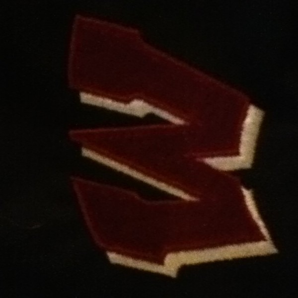 Wakefield Middle Club Baseball Team Logo