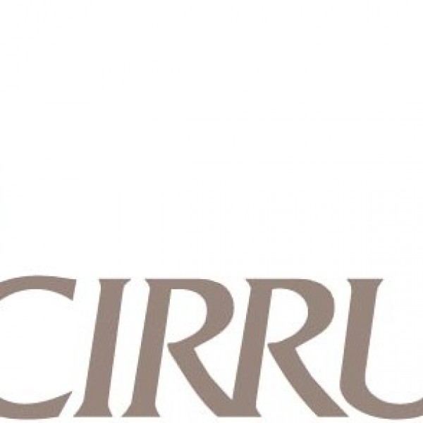 Team Cirrus Logic Team Logo