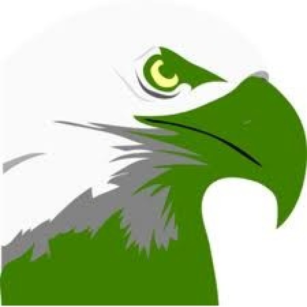 Bald Eagles! Team Logo