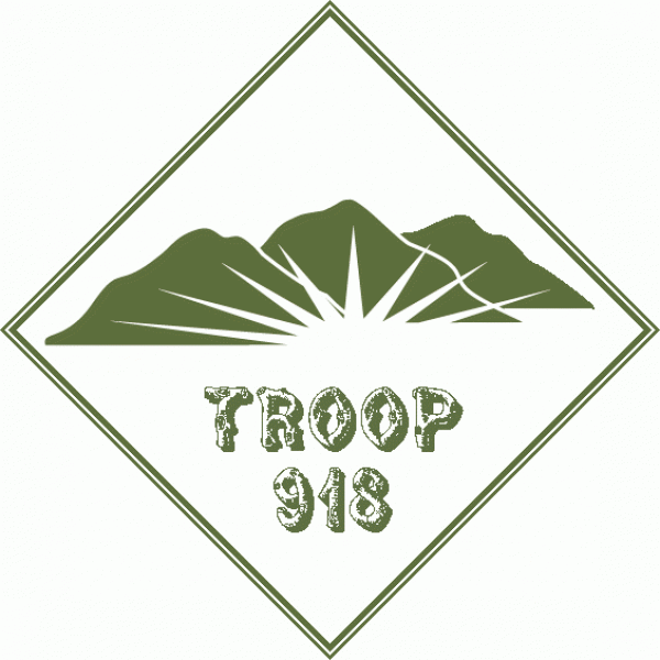 Troop 918 Team Logo