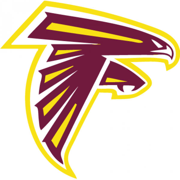 Team Falcon Team Logo