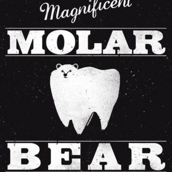 Molar Bears Team Logo