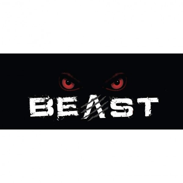 Team BEAST 11U Team Logo